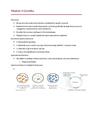 Chapter 3 Part A - The basics of mendelian genetics part 3 - Chapter 3 ...