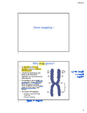 Comprehensive Guide to Gene Mapping Techniques and Chromosomal ...