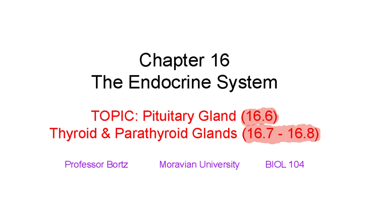 Comprehensive Study of the Endocrine System (BIO 101) - Studocu