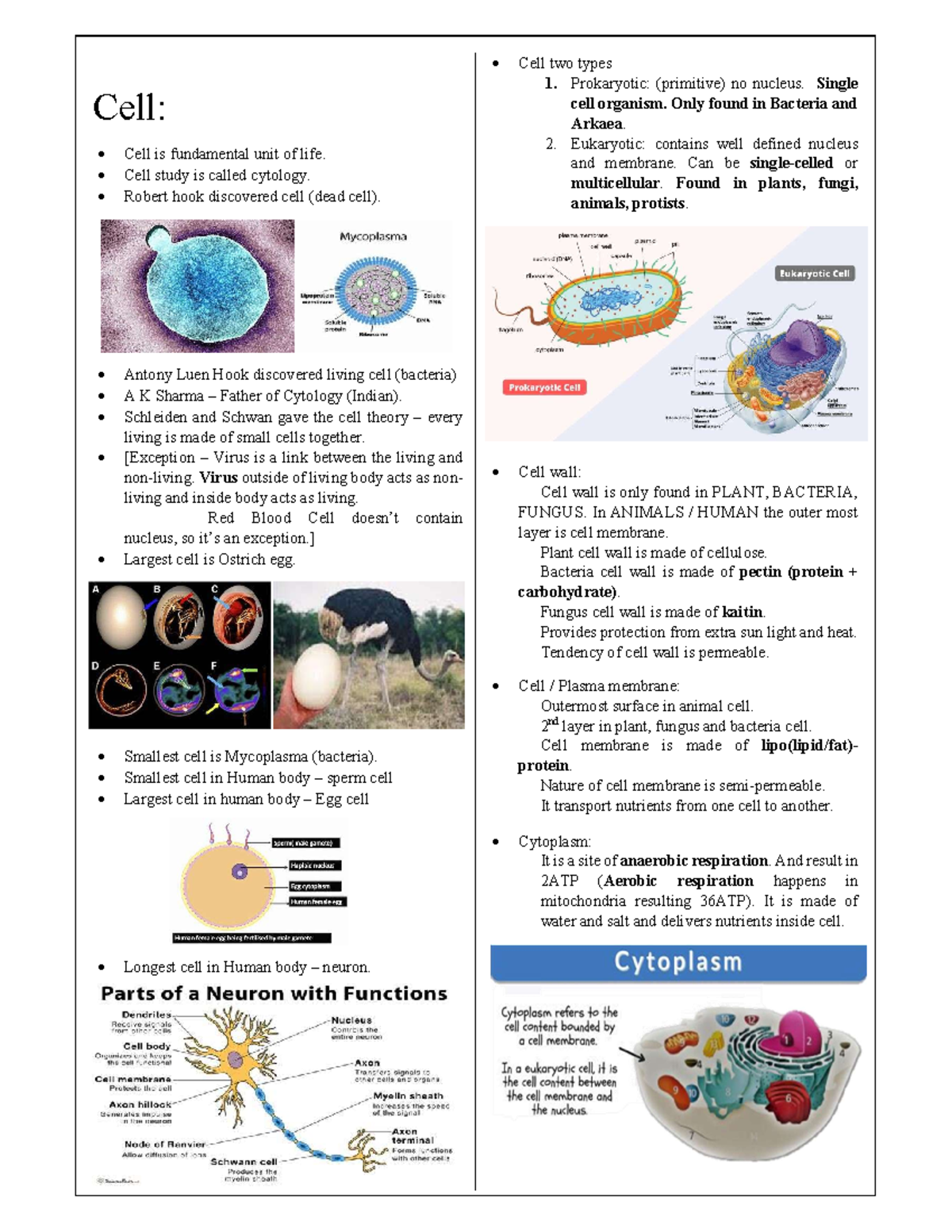 Biology [Competitive Exam]: Cell, Digestive system, Blood, - Cell: Cell ...