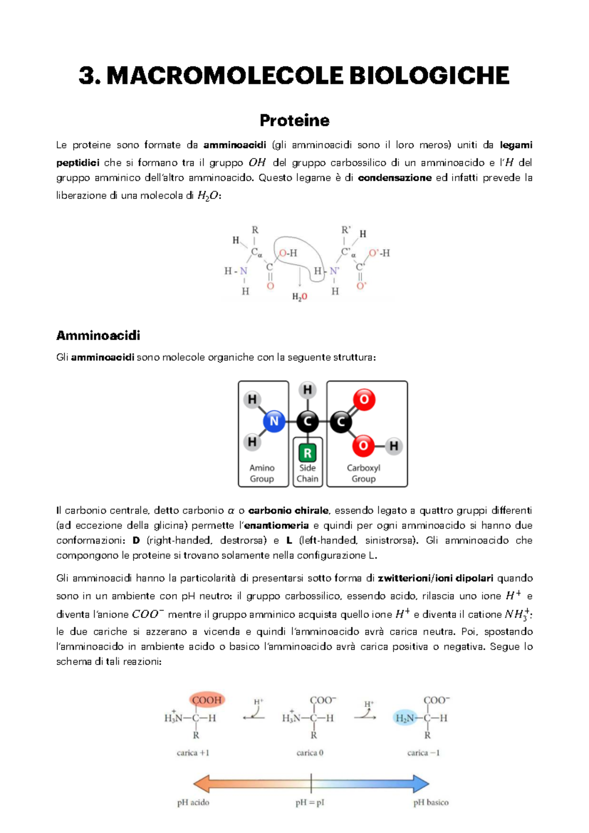 3. MACROMOLECOLE BIOLOGICHE: Proteine, Carboidrati e Acidi Nucleici ...