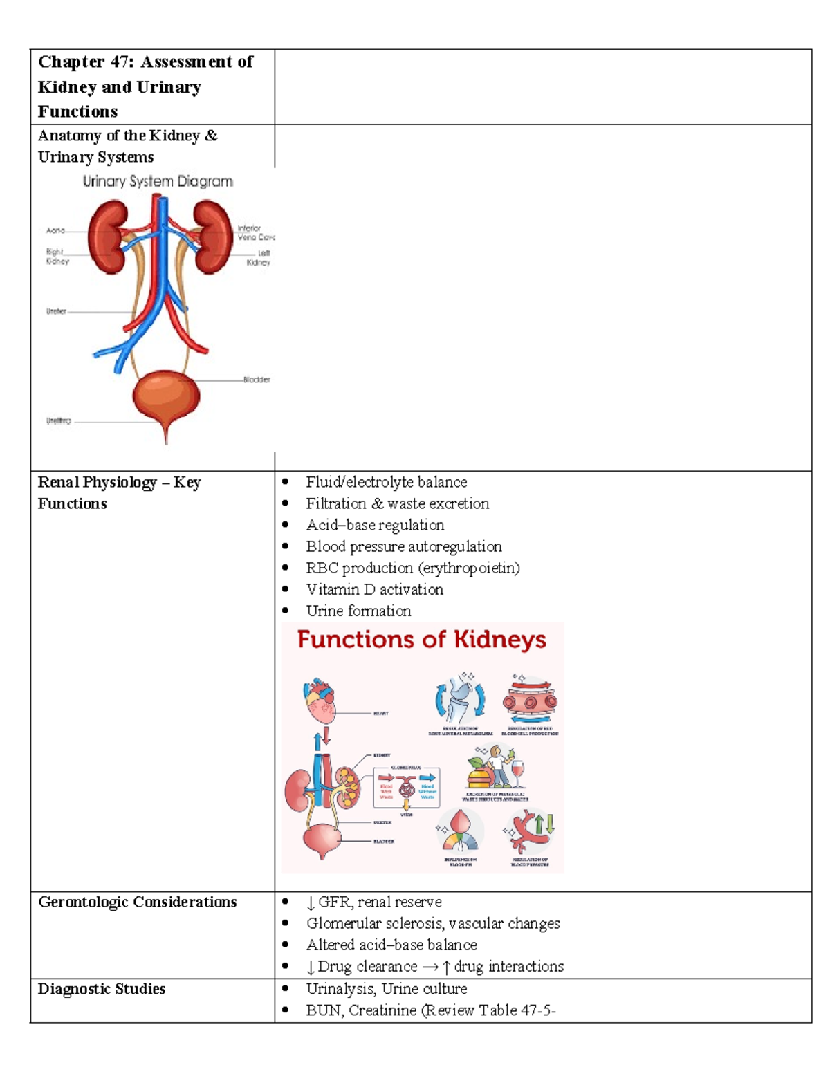 Module A: Kidney and Urinary Function Assessment & Management Notes ...