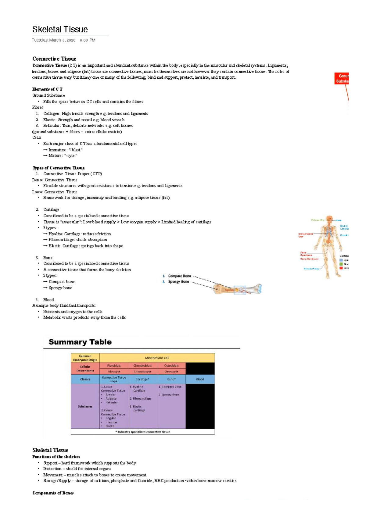 Lecture Notes on Skeletal and Connective Tissue - Studocu