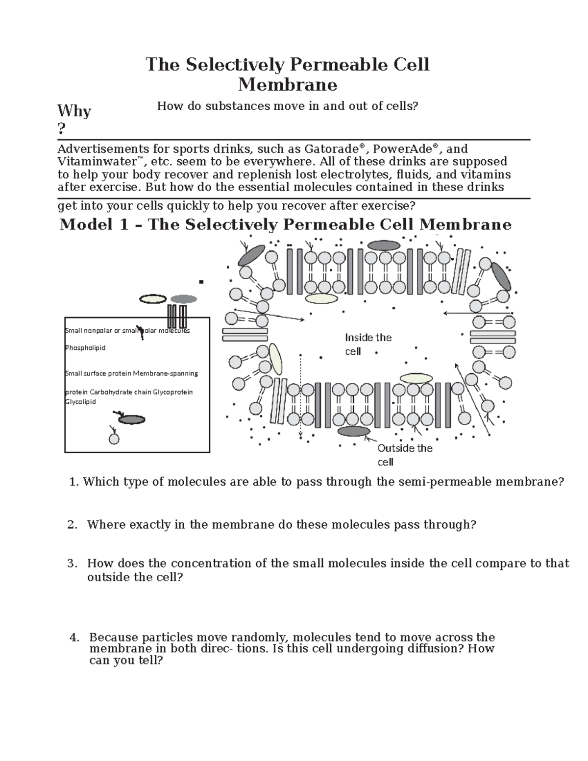 The Selectively Permeable Membrane-S edited combined Membrane Function ...