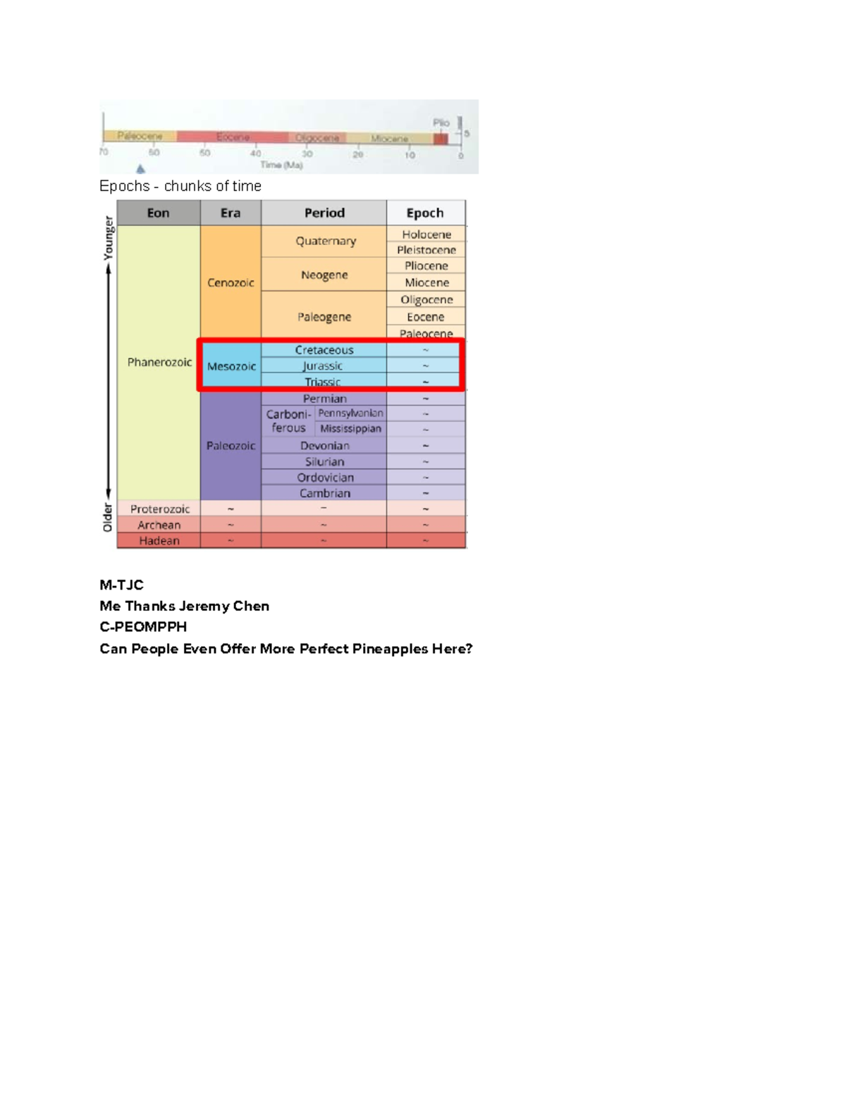 Study Guide for Exam: Evolution of Primates and Hominins (Anthro 101 ...