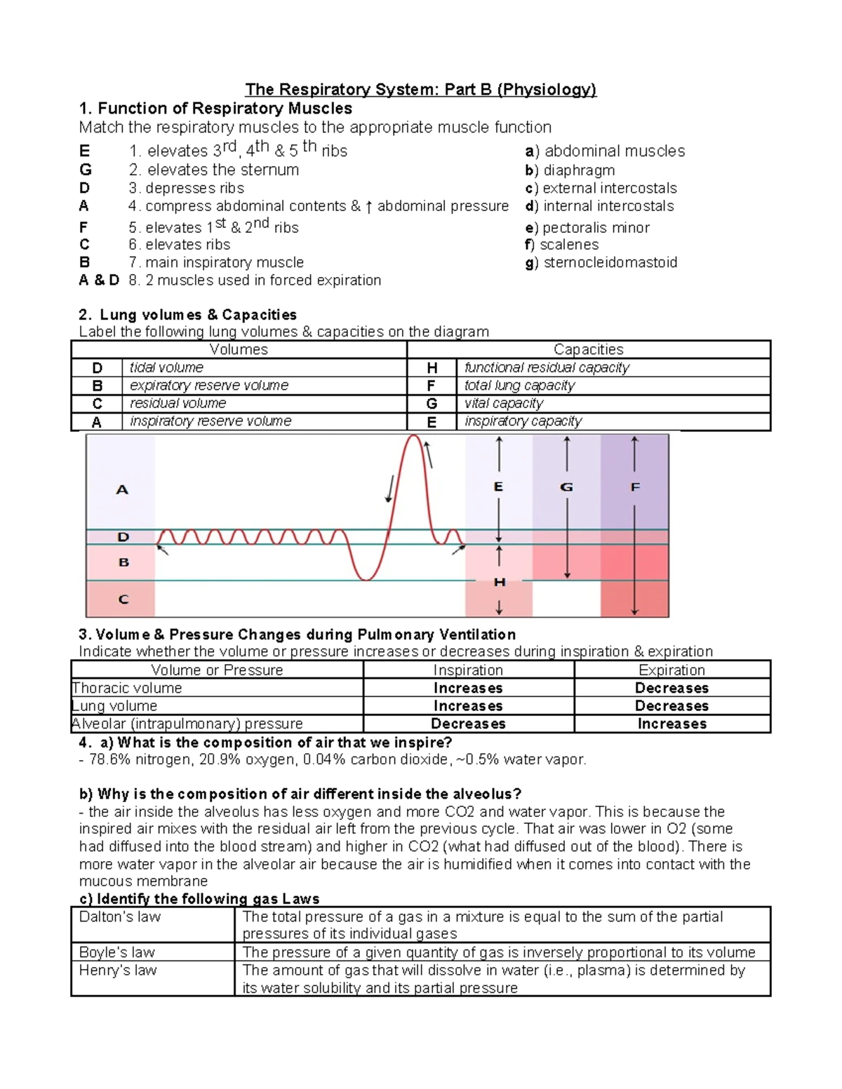 Anatomy & Physiology II Lab Prep: The Blood Overview & Key Concepts ...