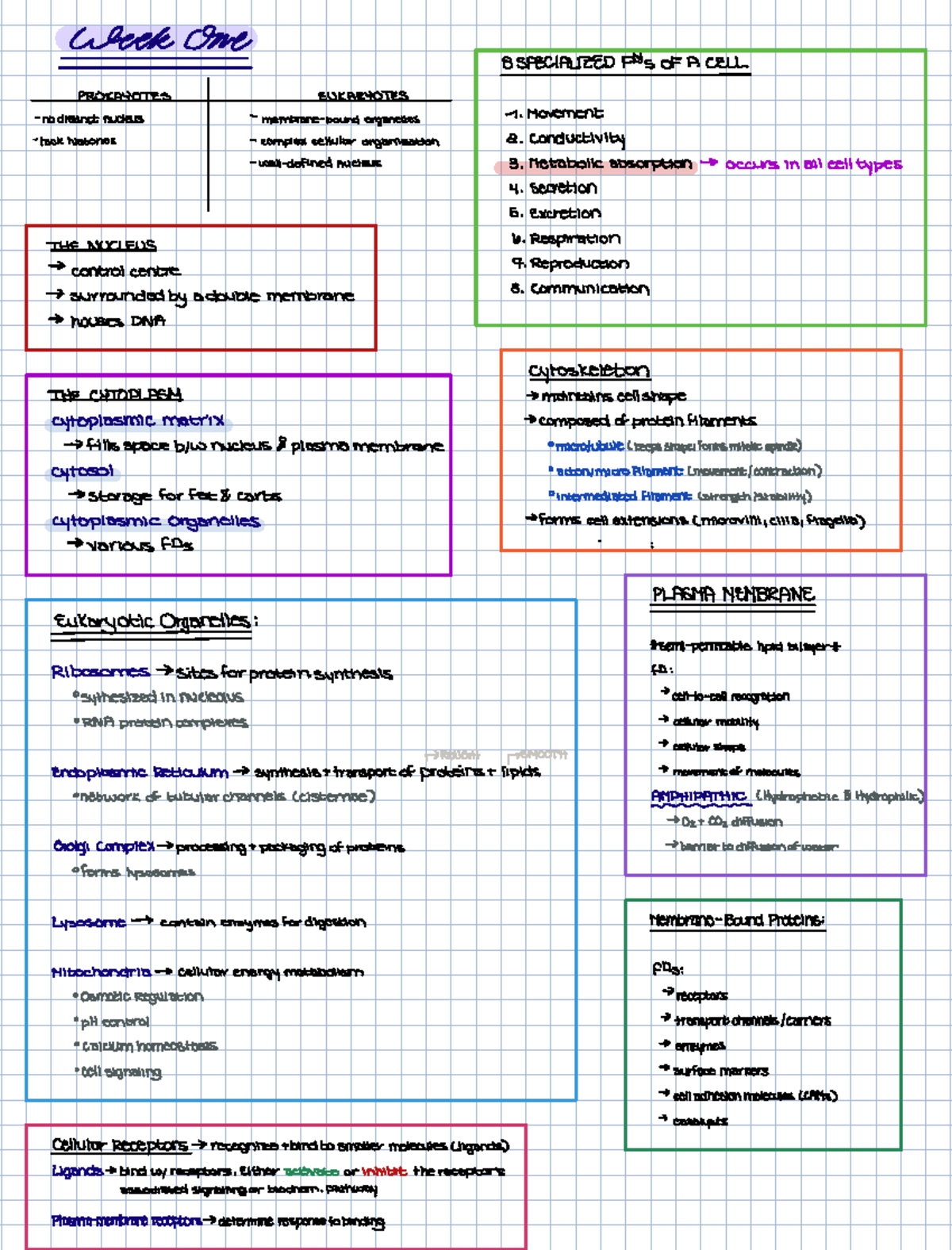 Week One Pathphys - clockone SPECIALIZEDFDSOFACELL nodist IIEtes ...