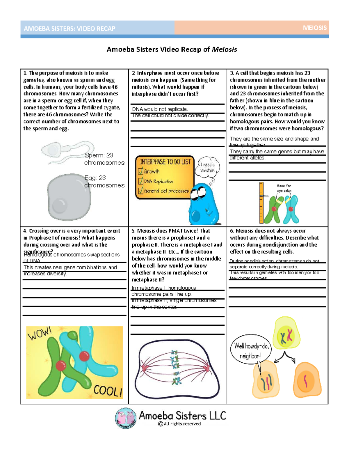 MEIOSIS VIDEO RECAP: Amoeba Sisters Overview & Key Concepts - Studocu