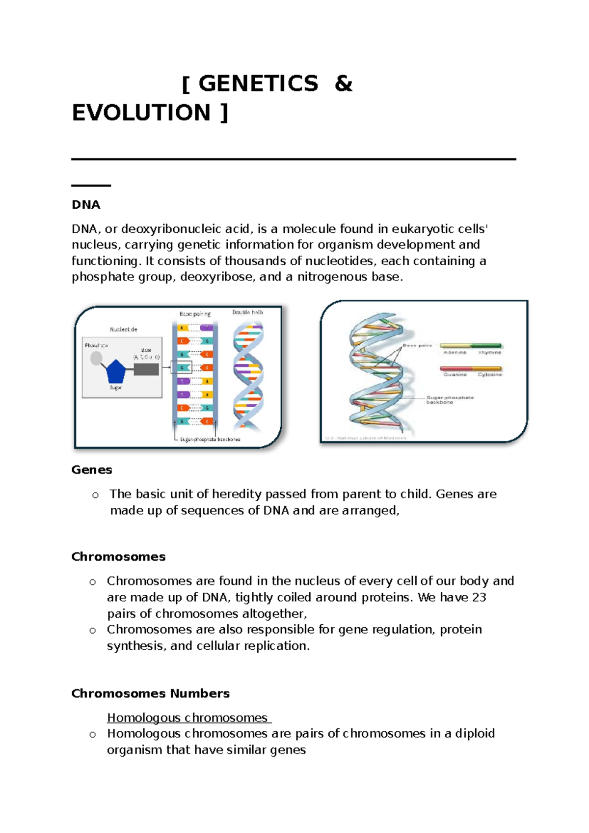 Genetics Notes - Mehreen Sharfi - [ GENETICS & EVOLUTION ] - Studocu