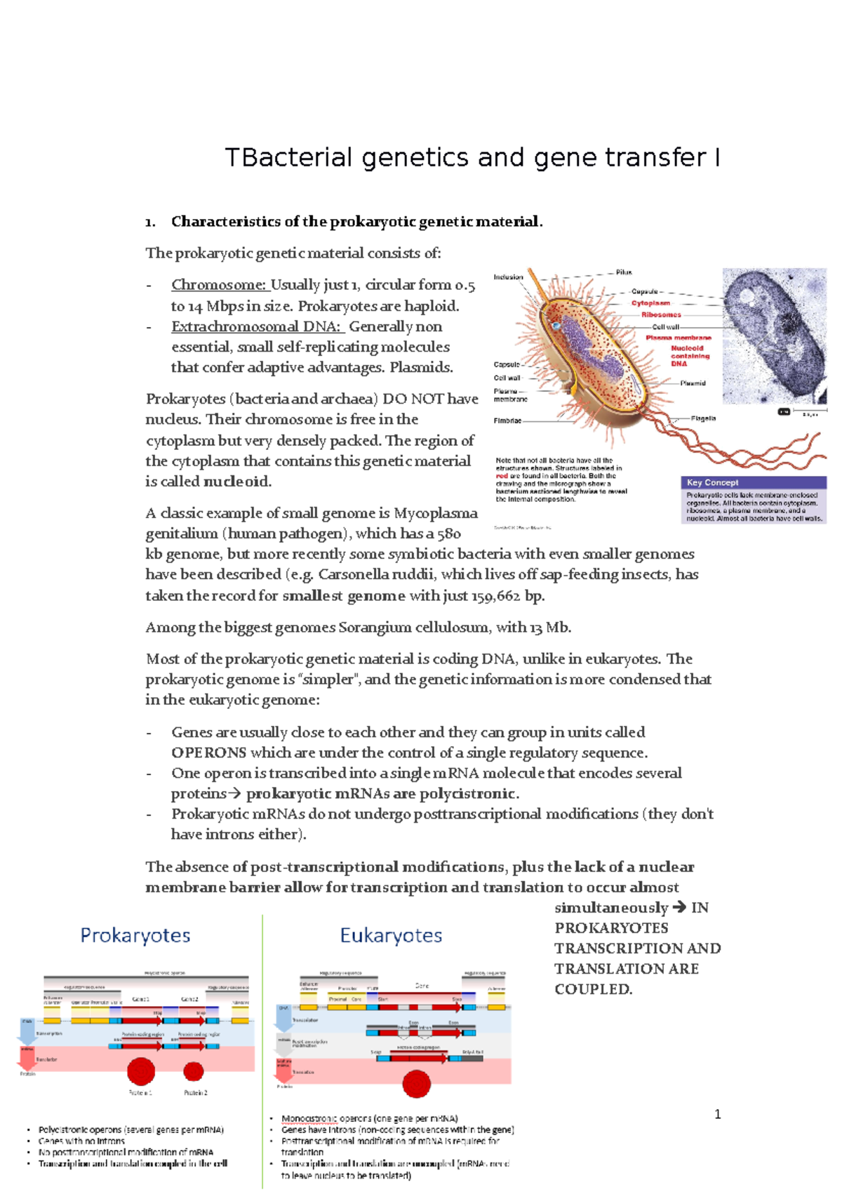 Bacterial Genetics & Gene Transfer I: Key Concepts & Mechanisms - Studocu