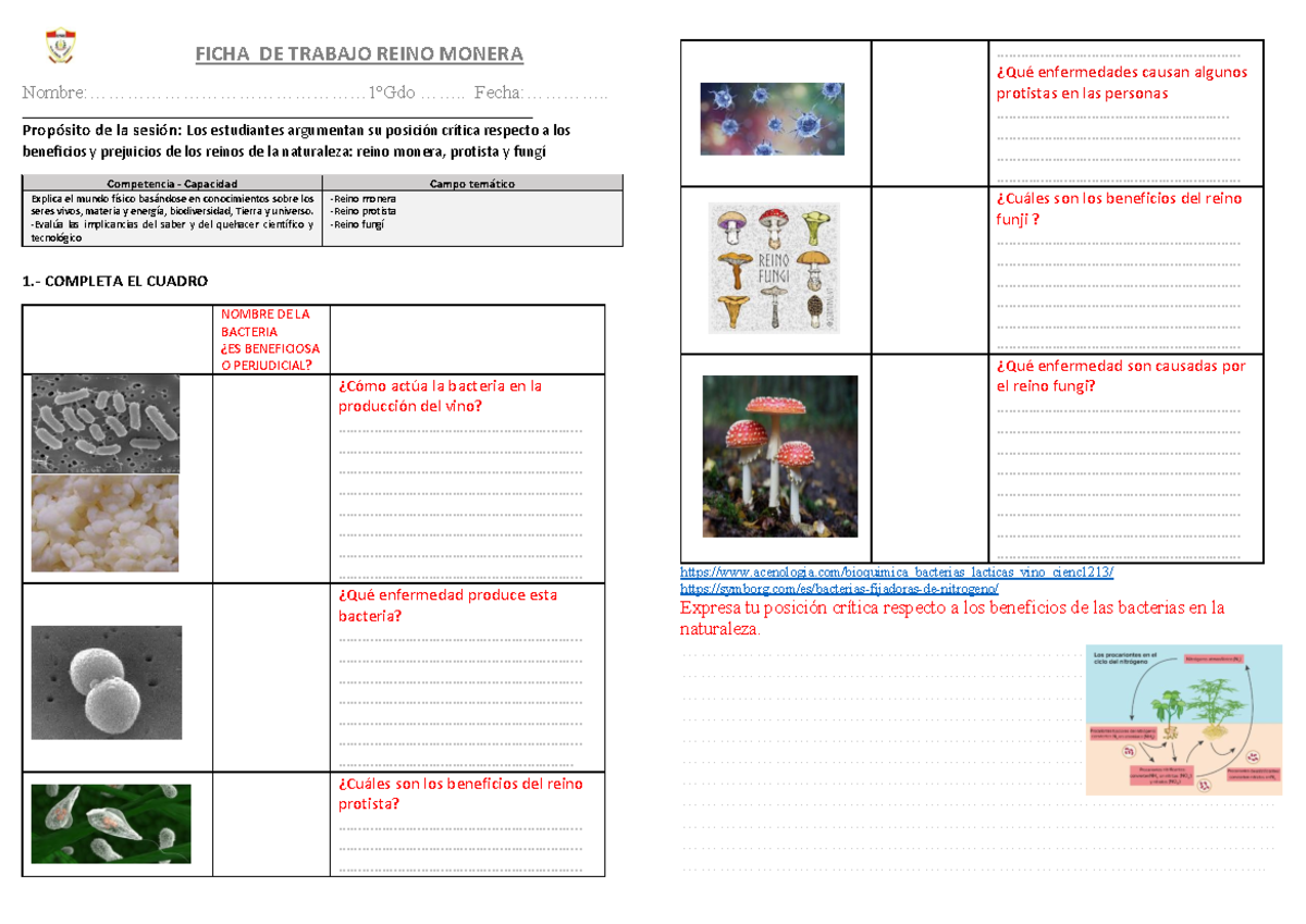 Ficha de Trabajo: Beneficios y Prejuicios del Reino Monera y Protista -  Studocu