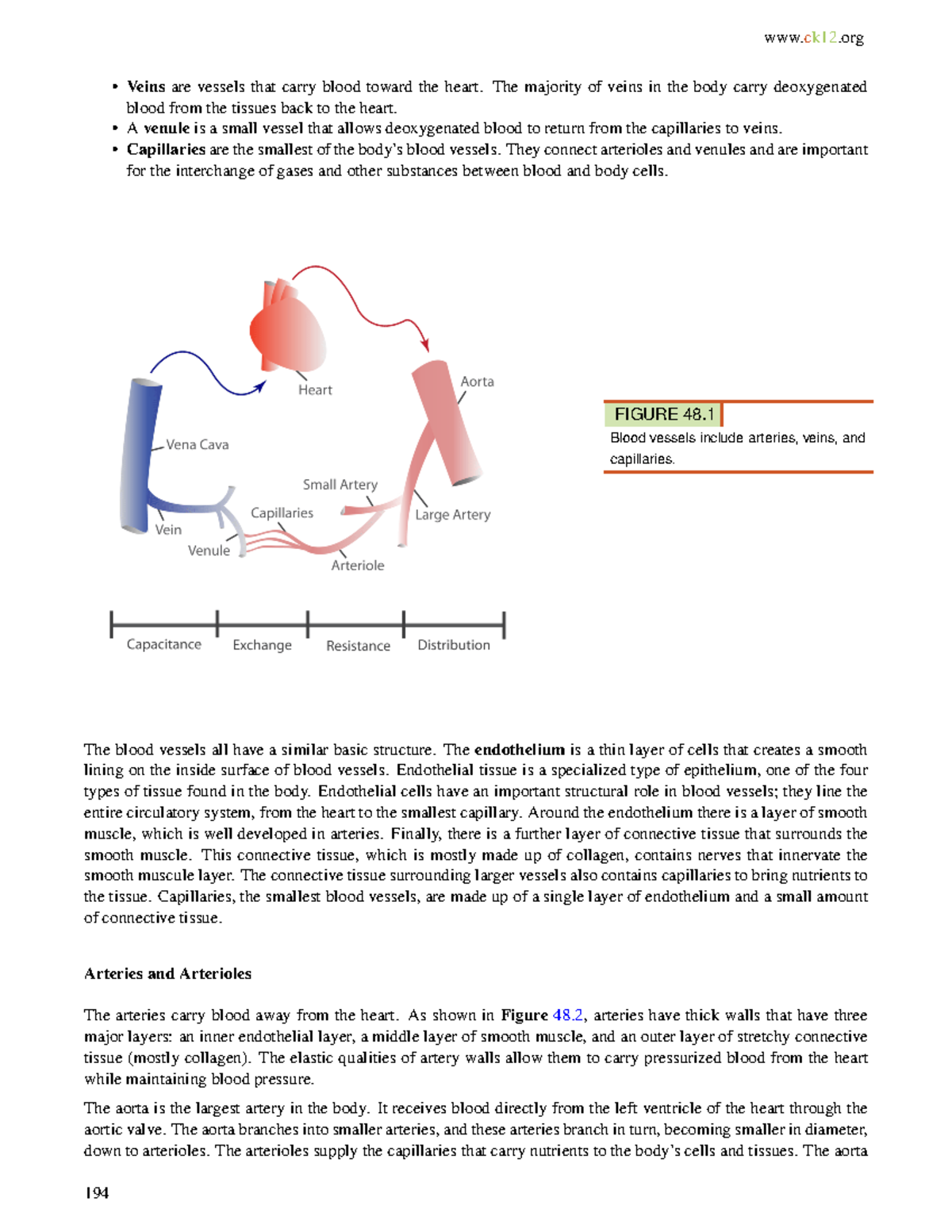 SBI3U Lecture Notes: Blood Vessels and Circulatory System - Studocu
