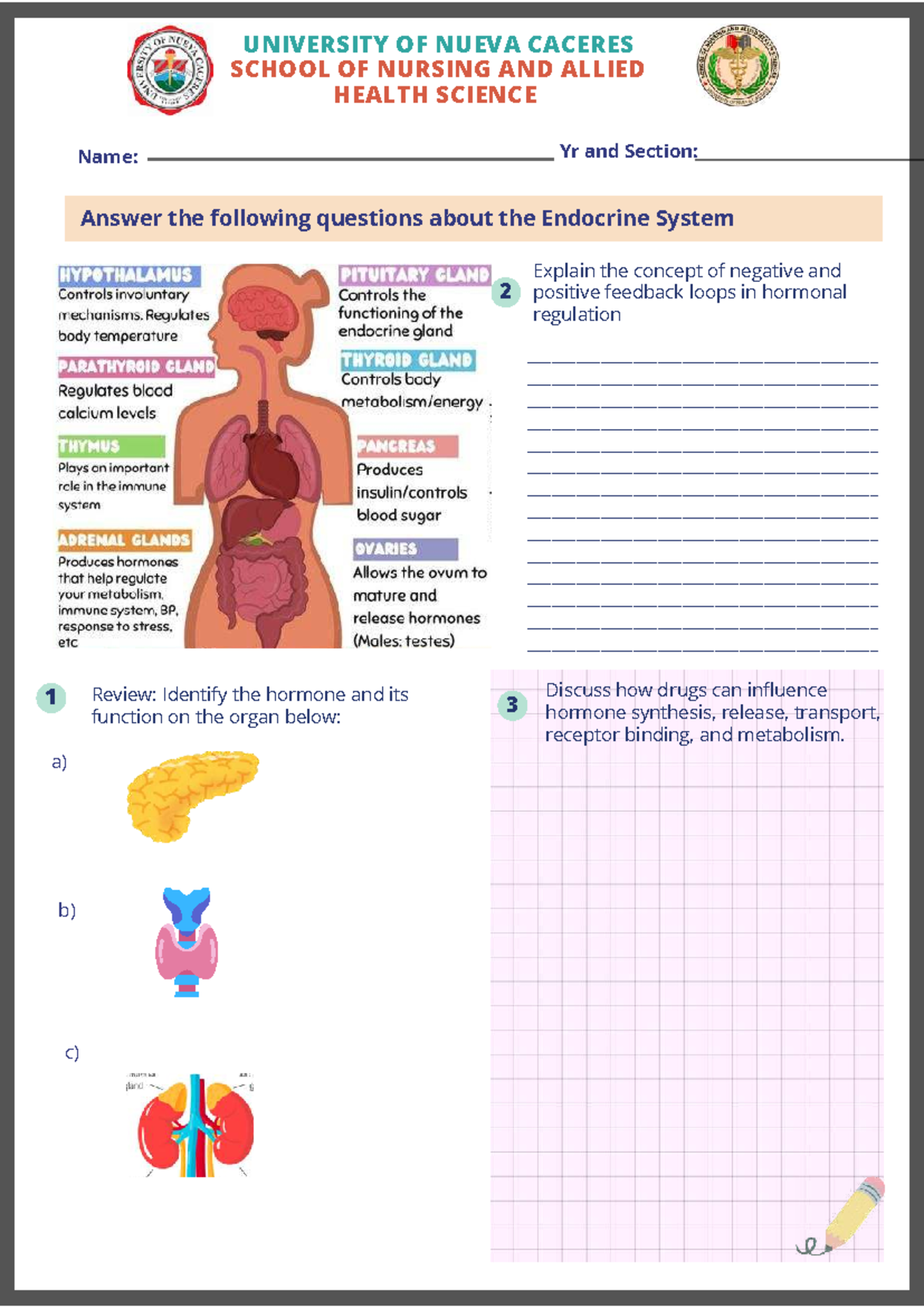 Endocrine System Case Study & Medications - NU Nursing 2023 - Studocu