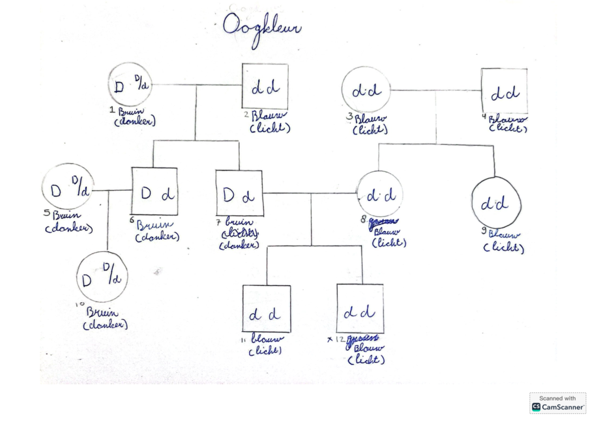 Biologie Stambomen: Observaties en Classificaties - Studeersnel