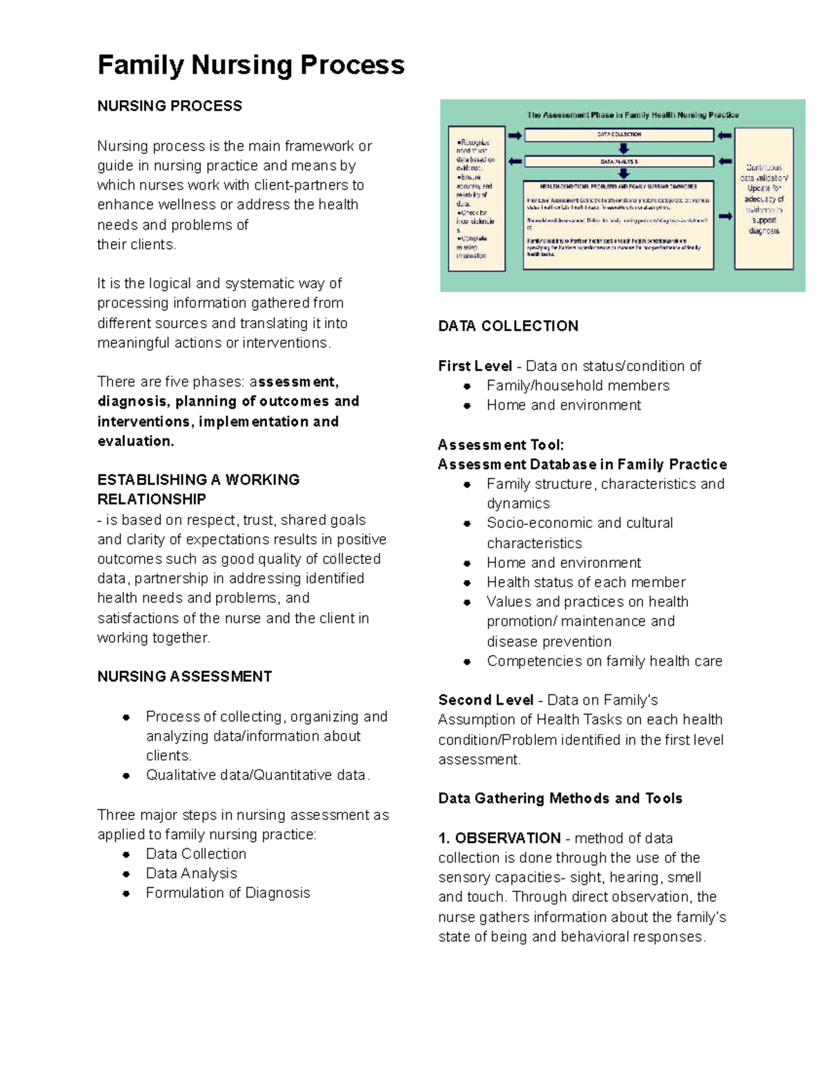 Family Nursing Process: Comprehensive Assessment & Care Plan (NURSING ...