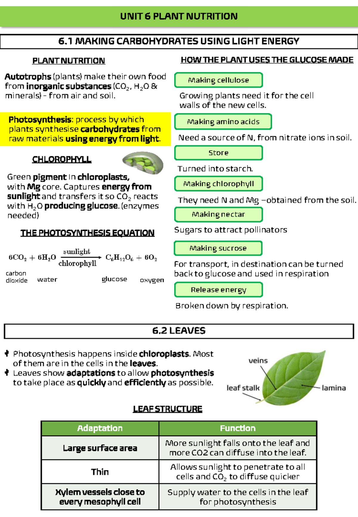 Unit 6: Plant Nutrition & Photosynthesis Factors Explained - Studocu
