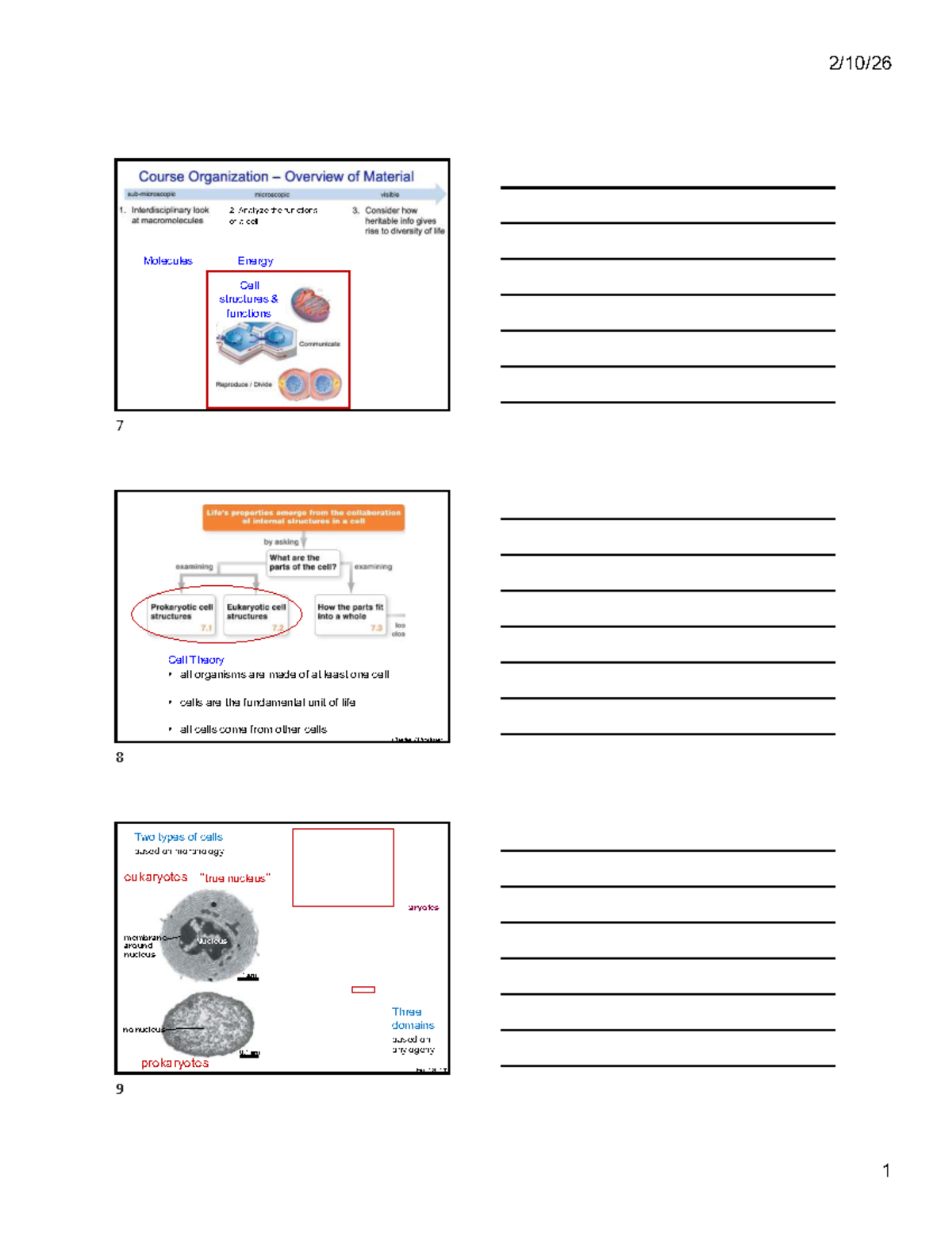Chapter 7: Cell Structures and Functions Overview - Studocu