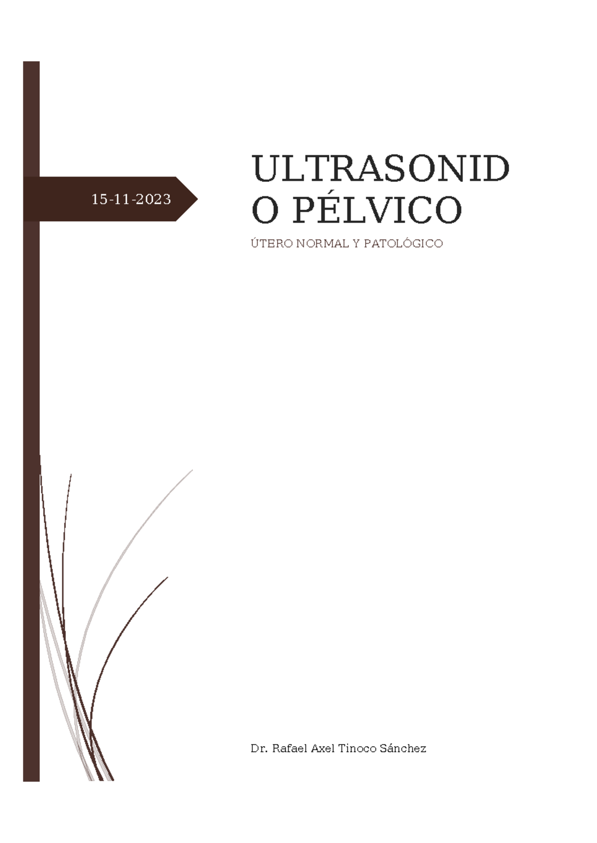 ULTRASONIDO PÉLVICO: UTERO NORMAL Y PATOLÓGICO - Dr. Tinoco - Studocu