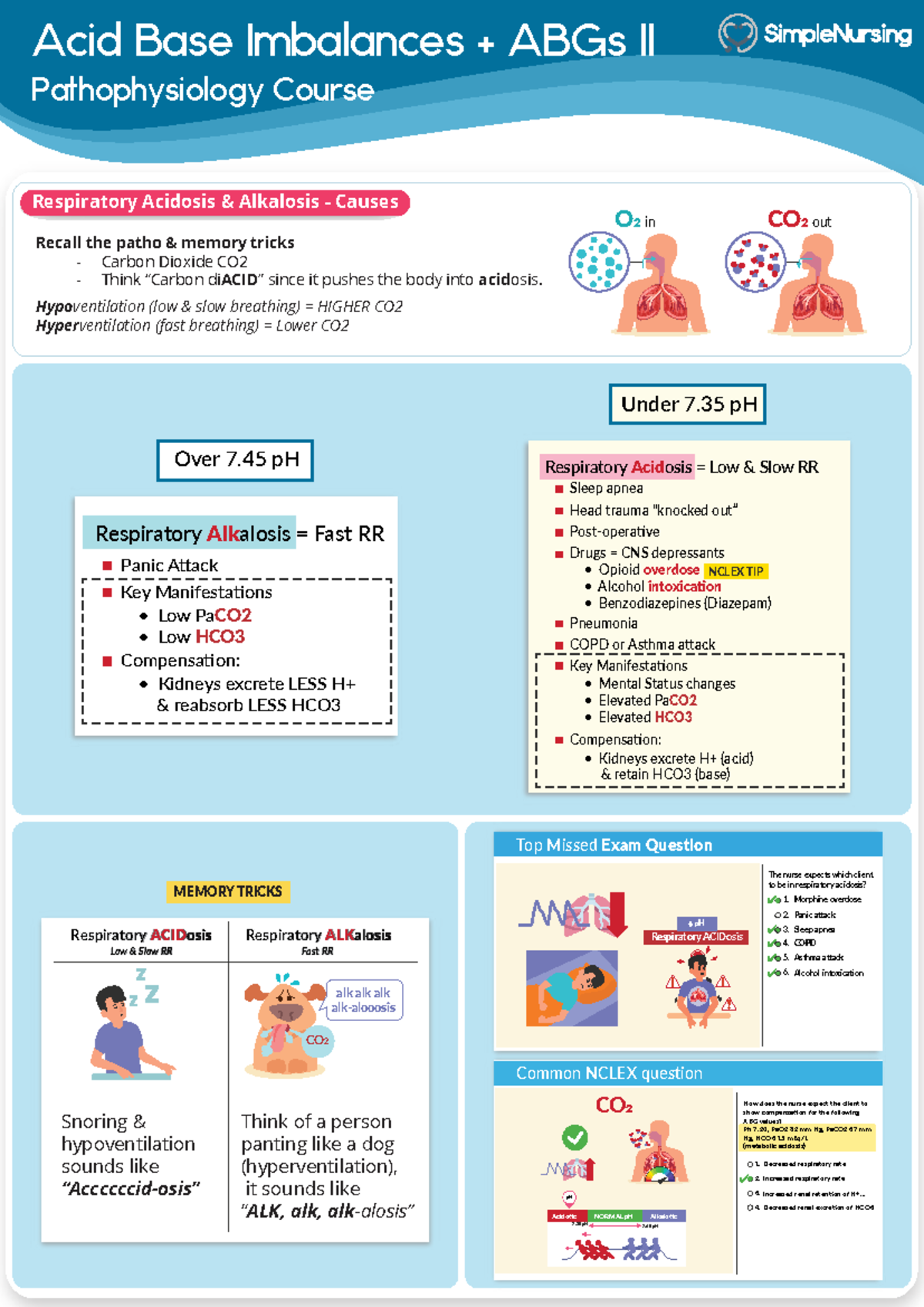 3.1 Acid-Base Imbalances & ABGs II: Respiratory Acidosis/Alkalosis ...