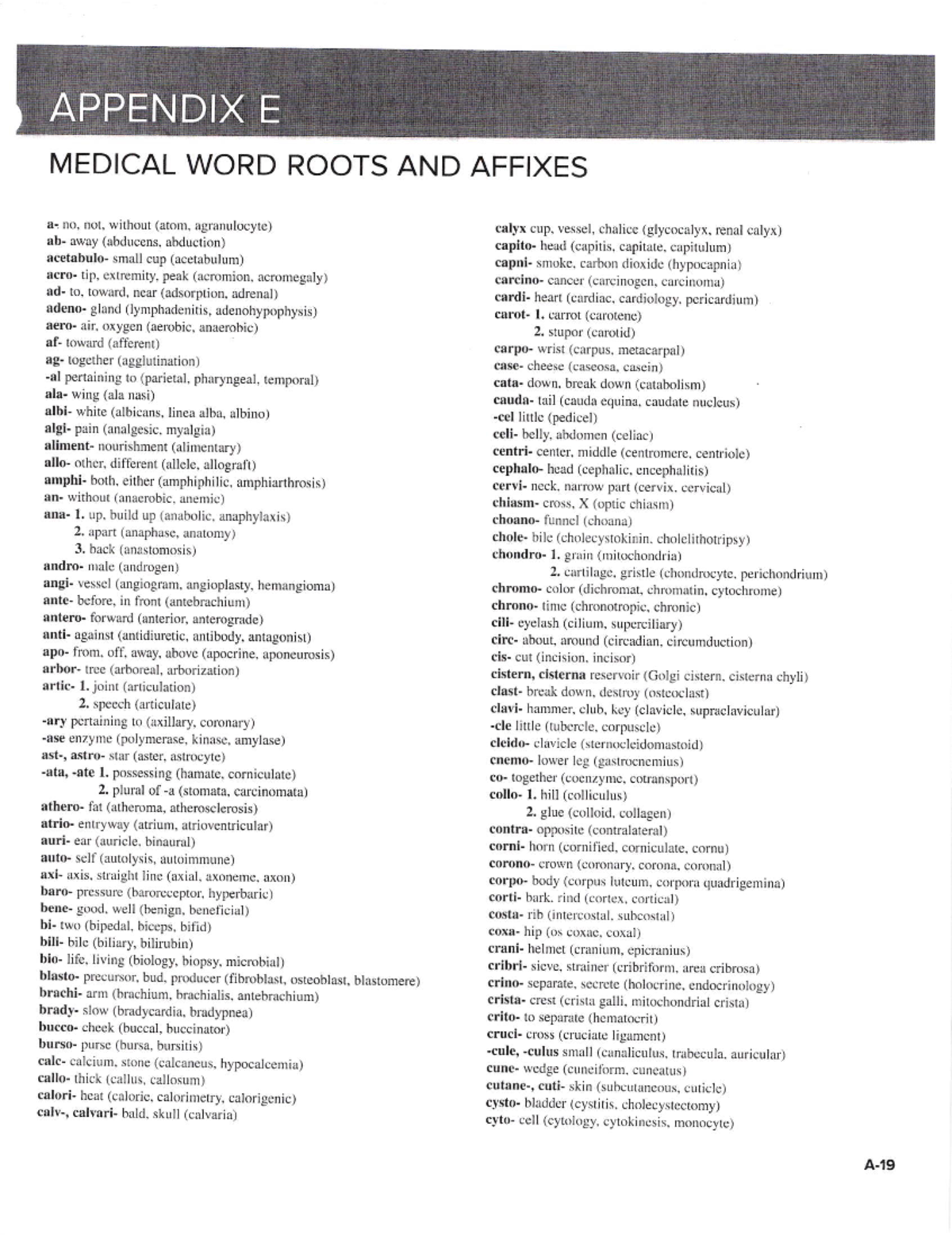 Appendix E - Medical Word Roots and Affixes Study Guide - Studocu