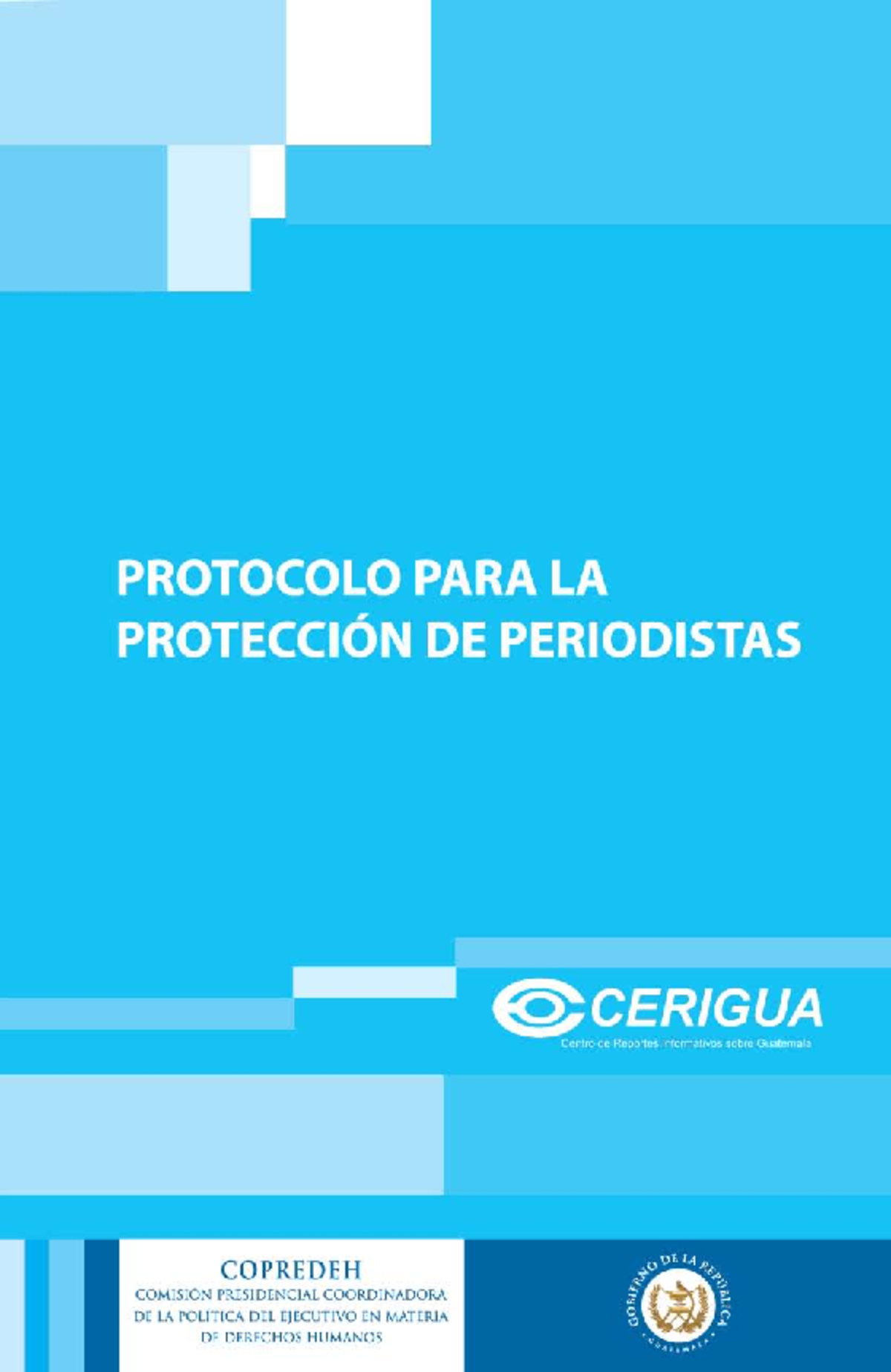R35788 - Protocolo protección periodistas - COPREDEH MSc. Dora Ruth del ...