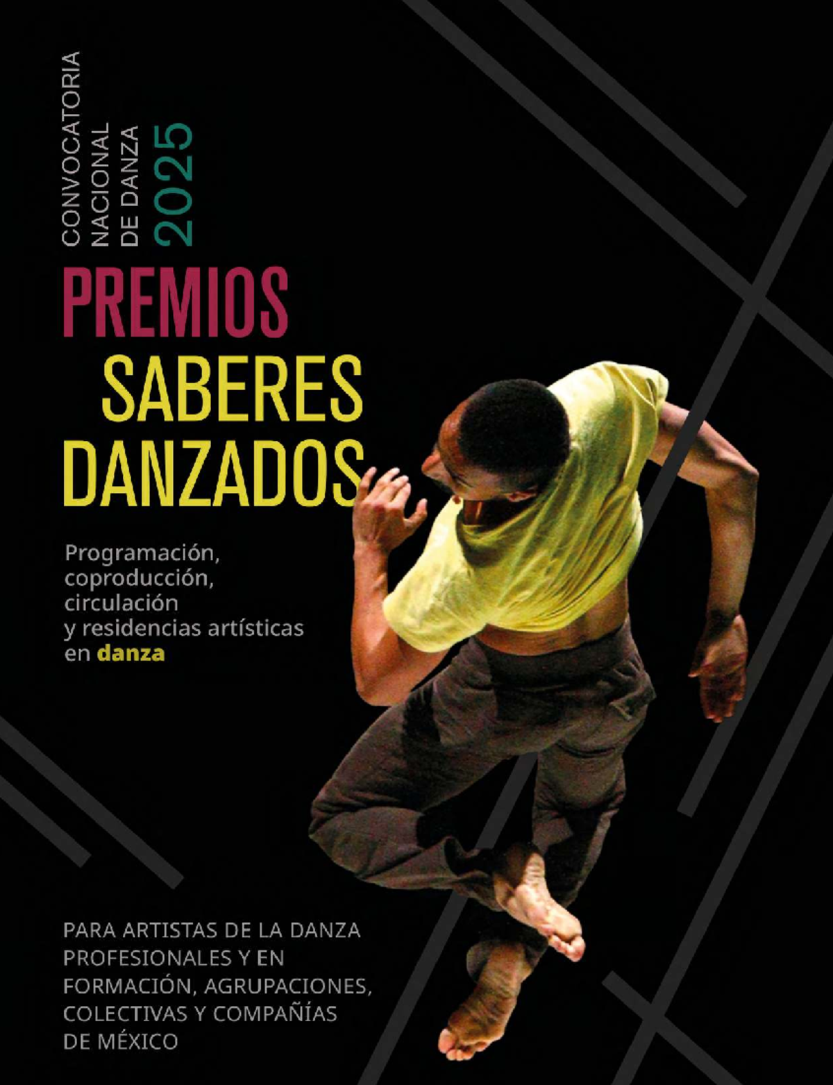 Convocatoria Nacional de Danza 2025: Saberes Danzados y Programas INBAL ...