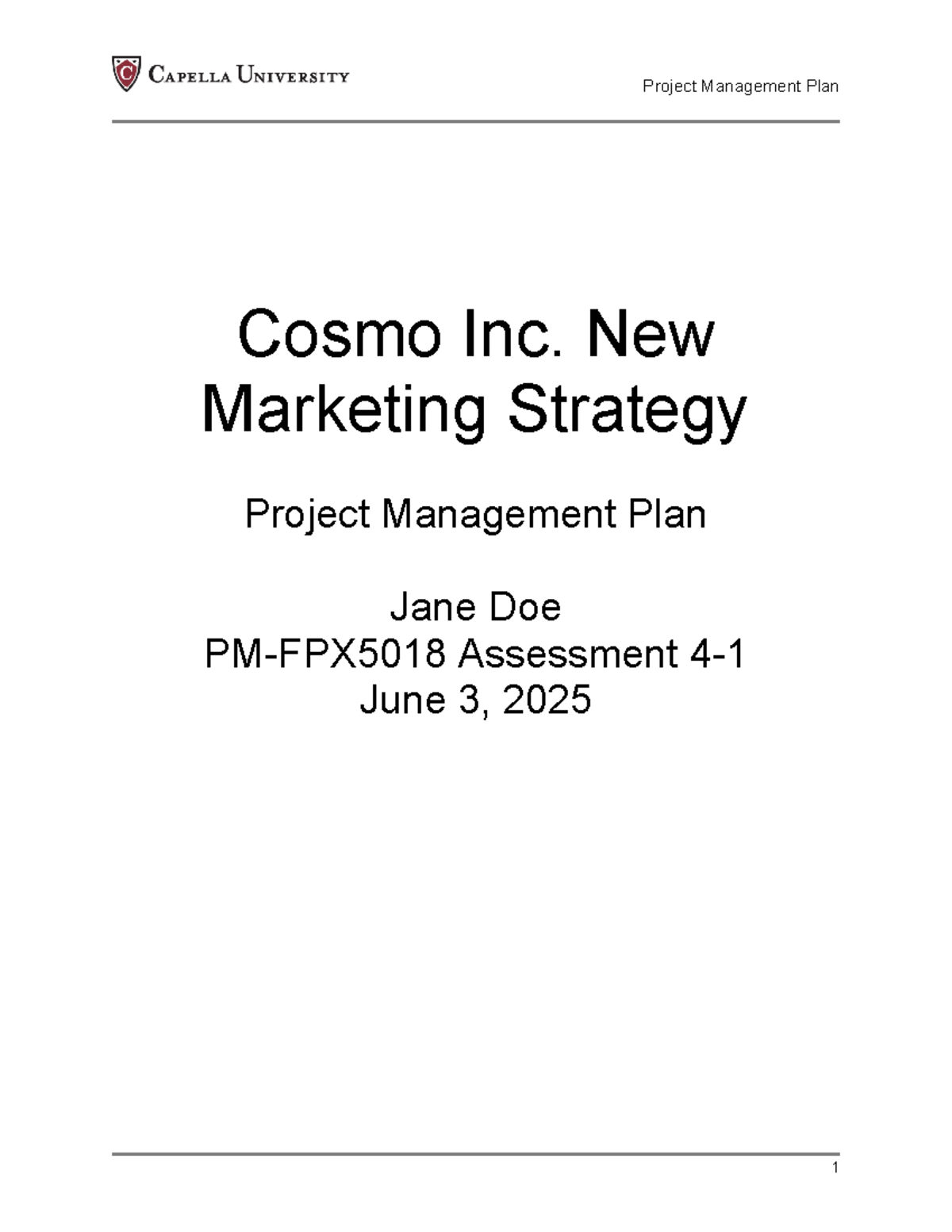 PM-FPX5018 Final Project Management Plan for Cosmo Inc. Marketing ...