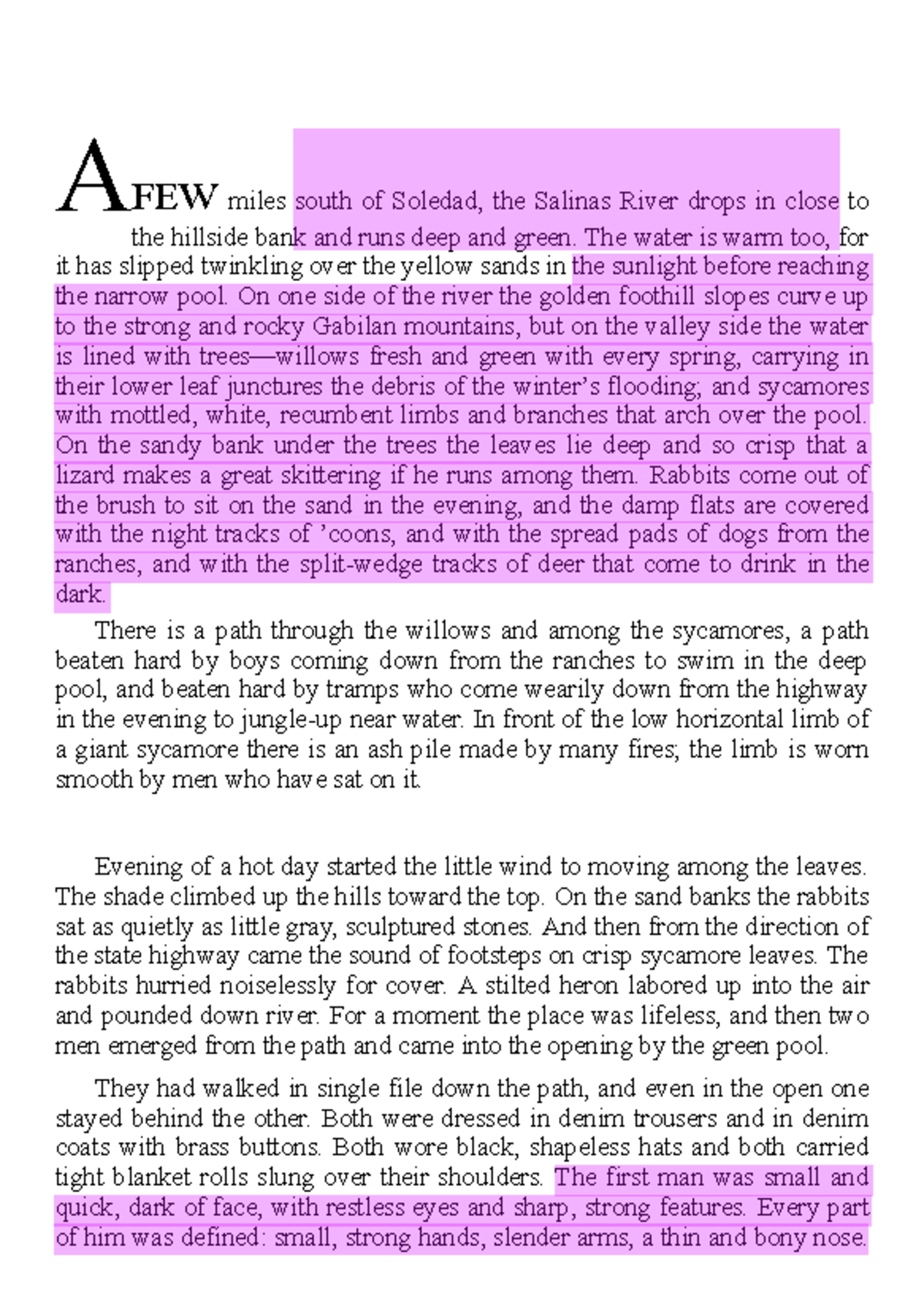 Kami Export Of Mice and Men Chapter 1 Study Notes - Studocu