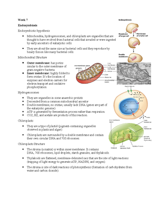 Bio bactiera notes week 5 and 6 - Week 5 Notes Nutrient cycles Carbon ...