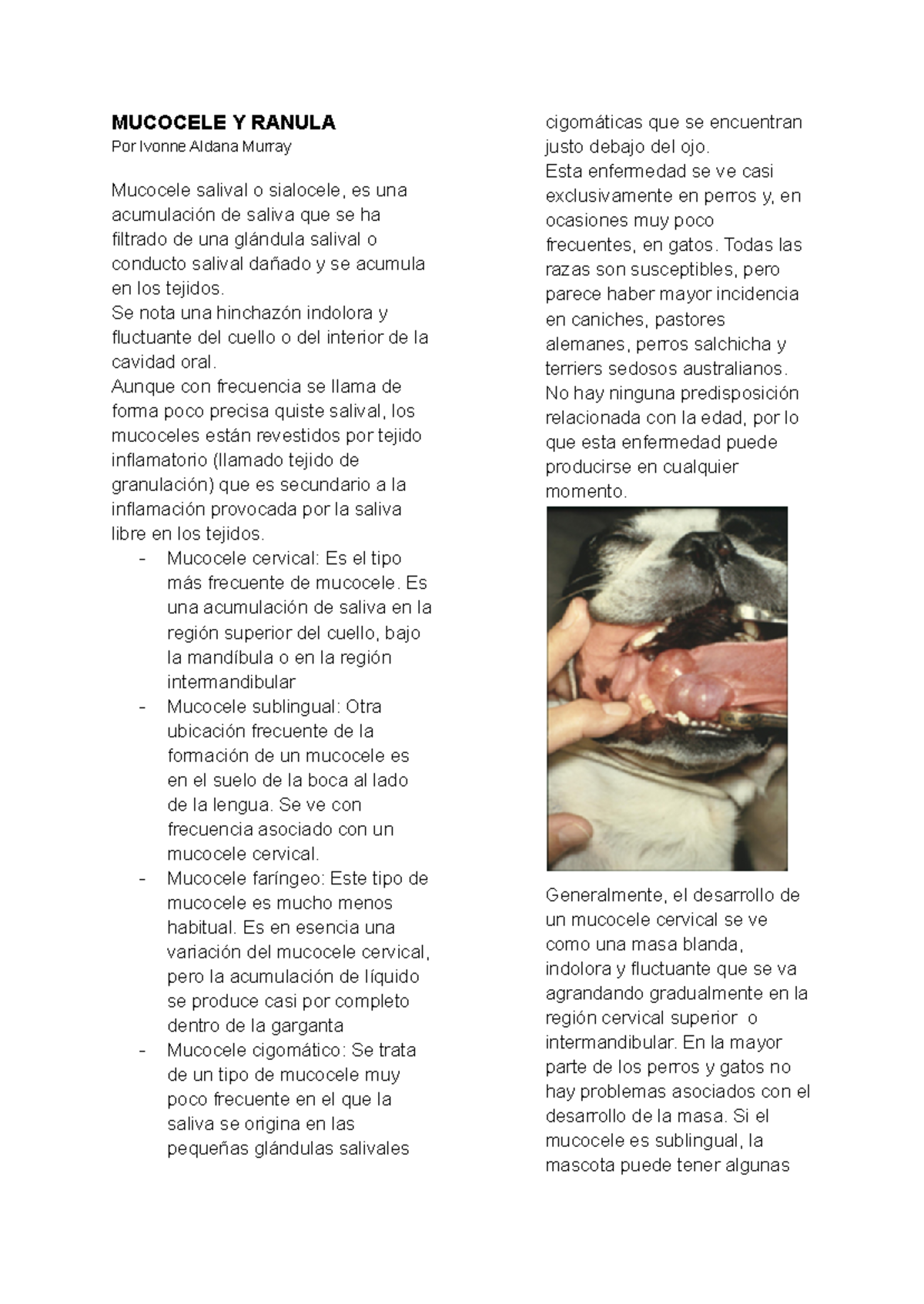 Estudio sobre Mucocele y Ranula en Mascotas: Diagnóstico y Tratamiento ...