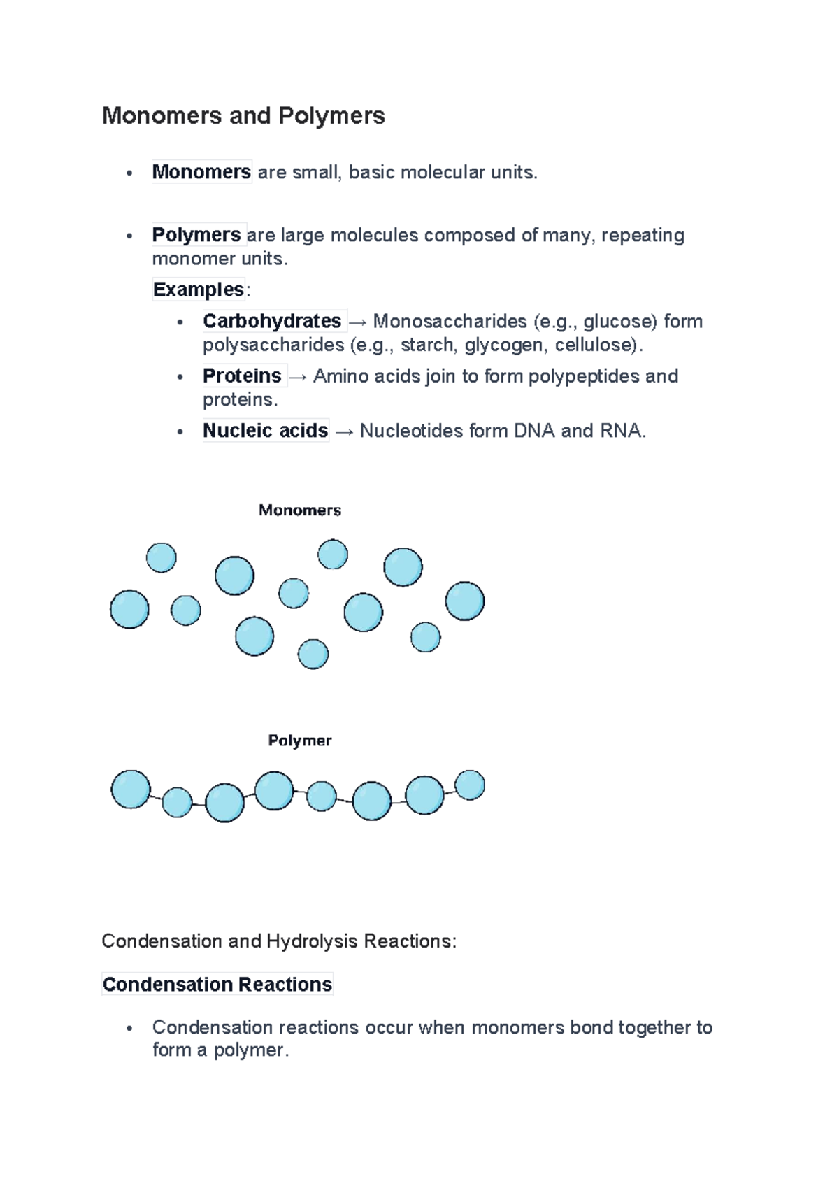 What Are Monomers And Polymers Of Proteins