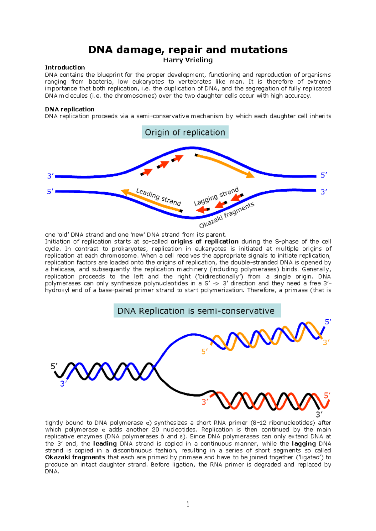 DNA Damage, Repair Mechanisms, and Mutations: A Comprehensive Study ...