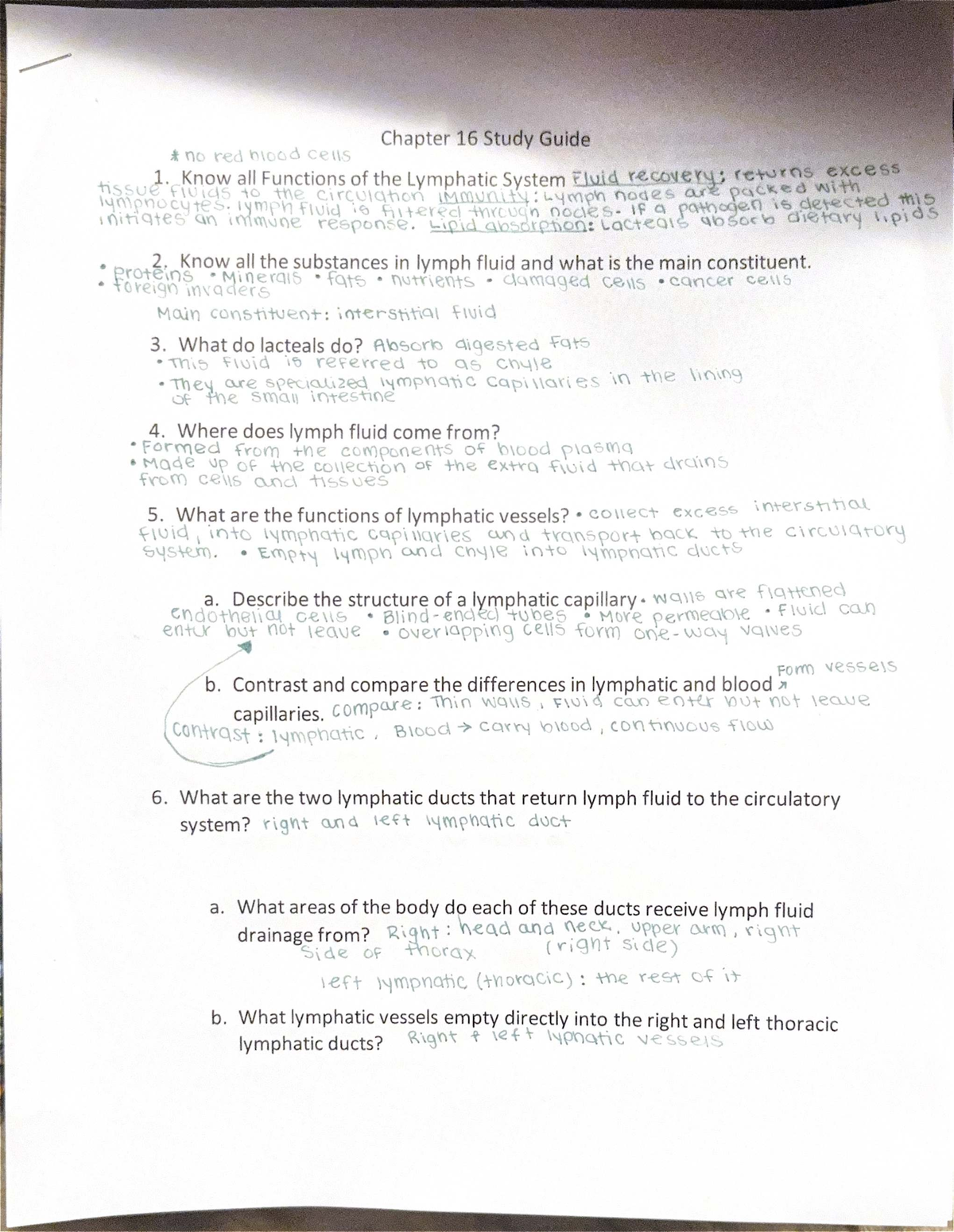 Chapter 16 Study Guide: Functions and Components of the Lymphatic ...