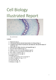 Unit 5 - Cell Biology - Studocu