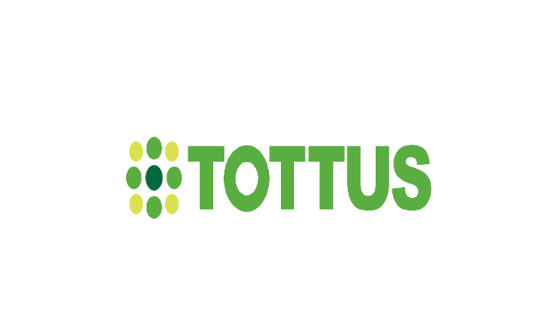 Análisis de Tottus: Historia, Misión y Estructura Organizacional - Studocu