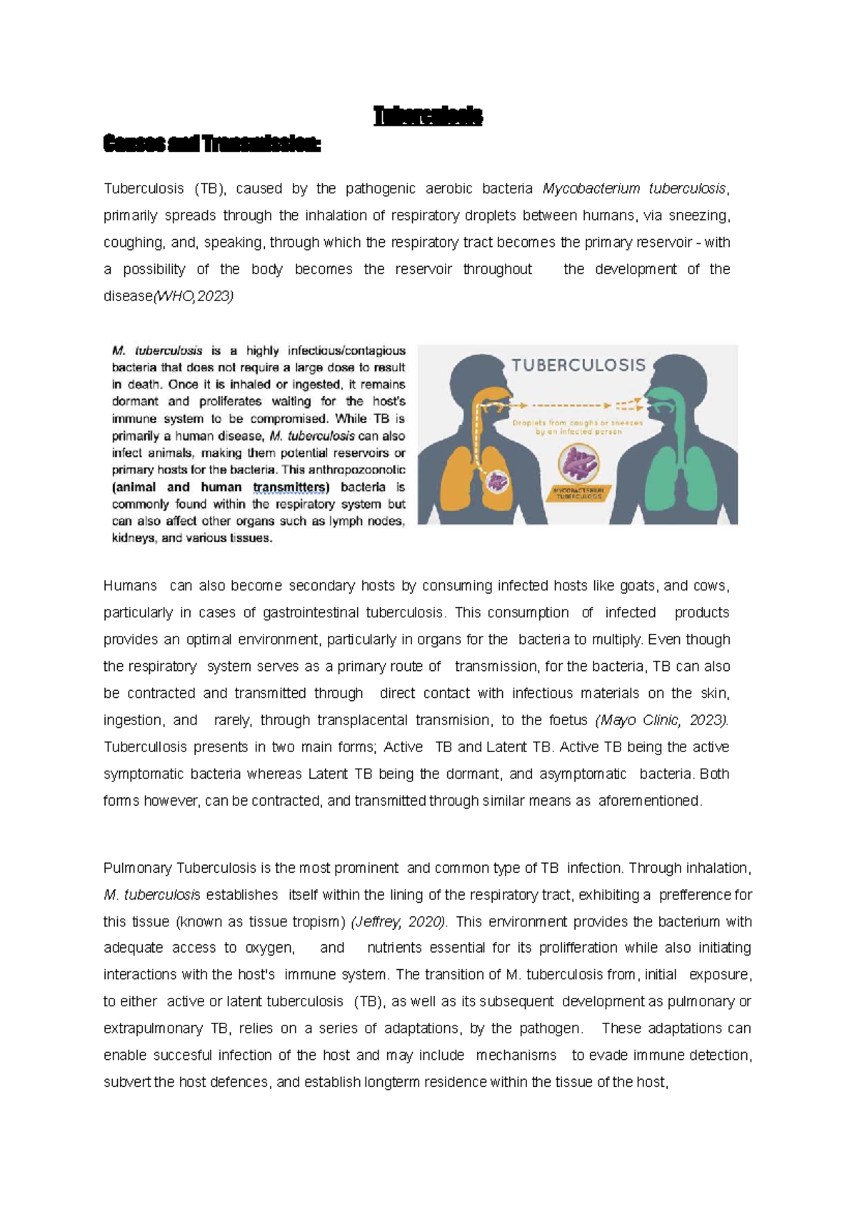 TB Causes and Transmission: Understanding Mycobacterium tuberculosis ...
