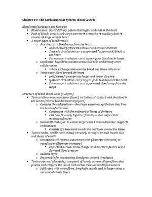 Urinary System Functions & Anatomy: Detailed Lecture Notes (Bio 101 ...