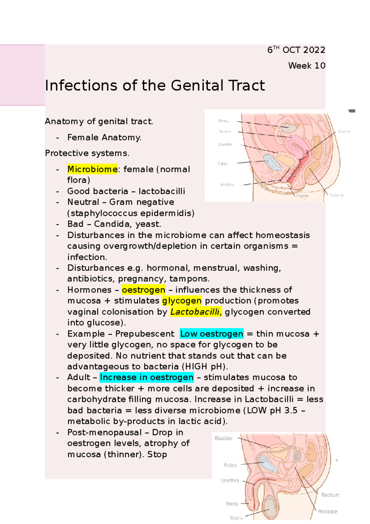 Infections OF Genital Tract - WEEK 10 - 6 TH OCT 2022 Week 10 ...