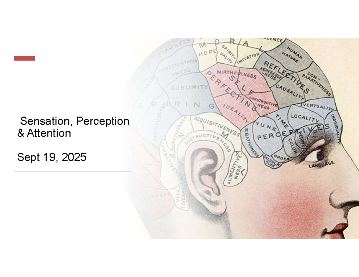 Sensation, Perception & Attention: Insights on Aging (PSY 101) - Studocu