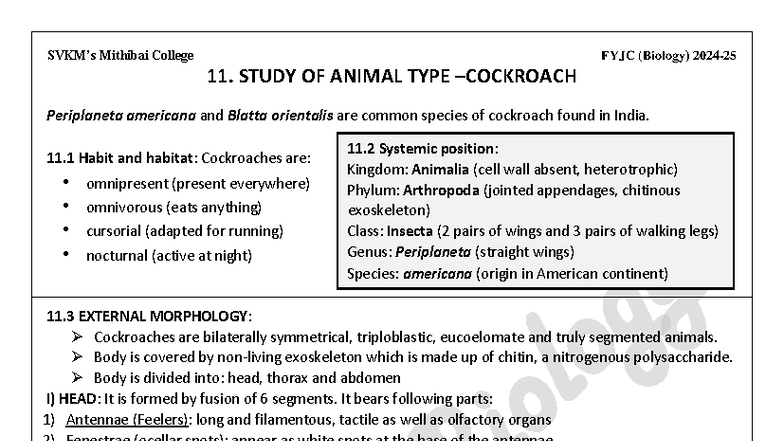 Mithibai College FYJC (Biology) Study of Cockroach Anatomy and ...
