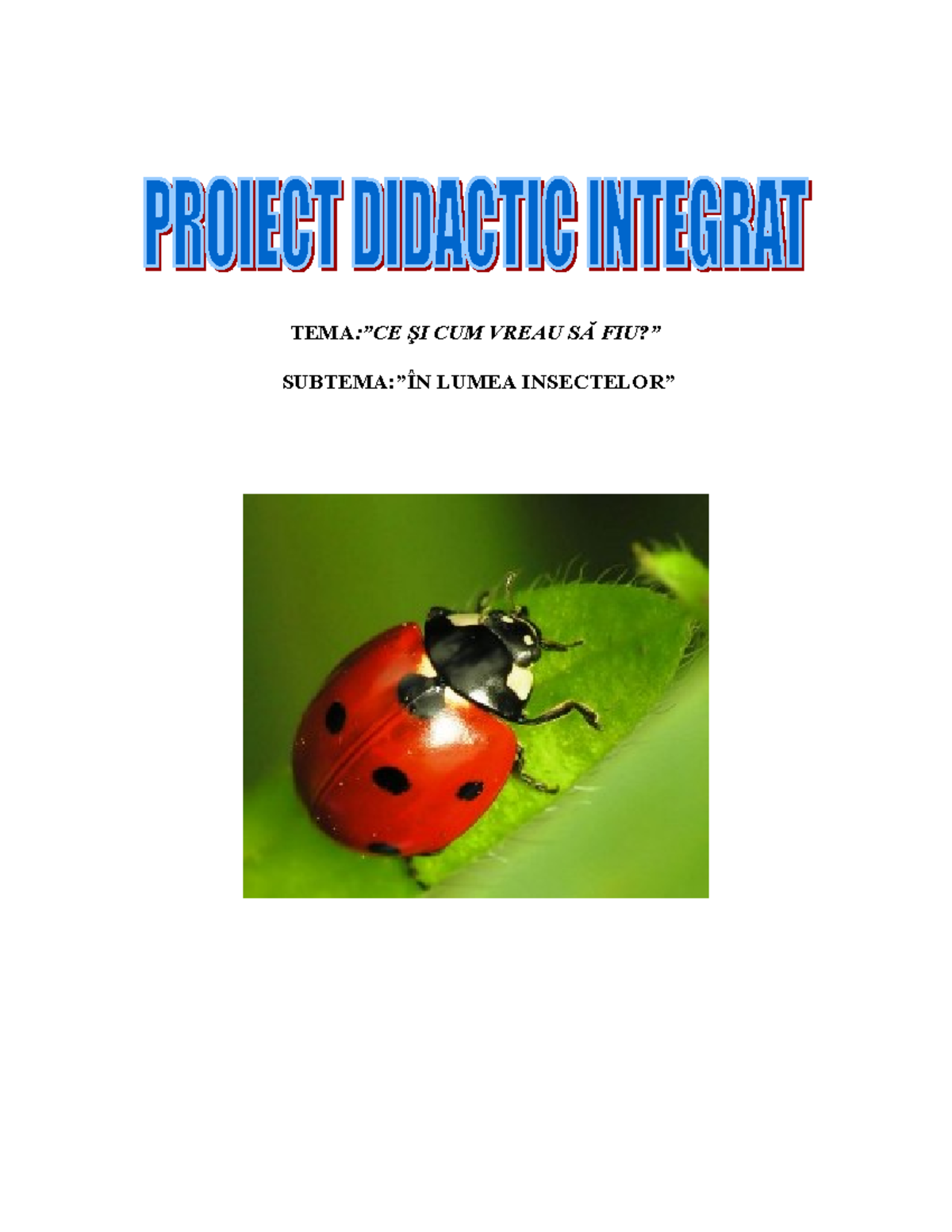Proiect Integrat: 