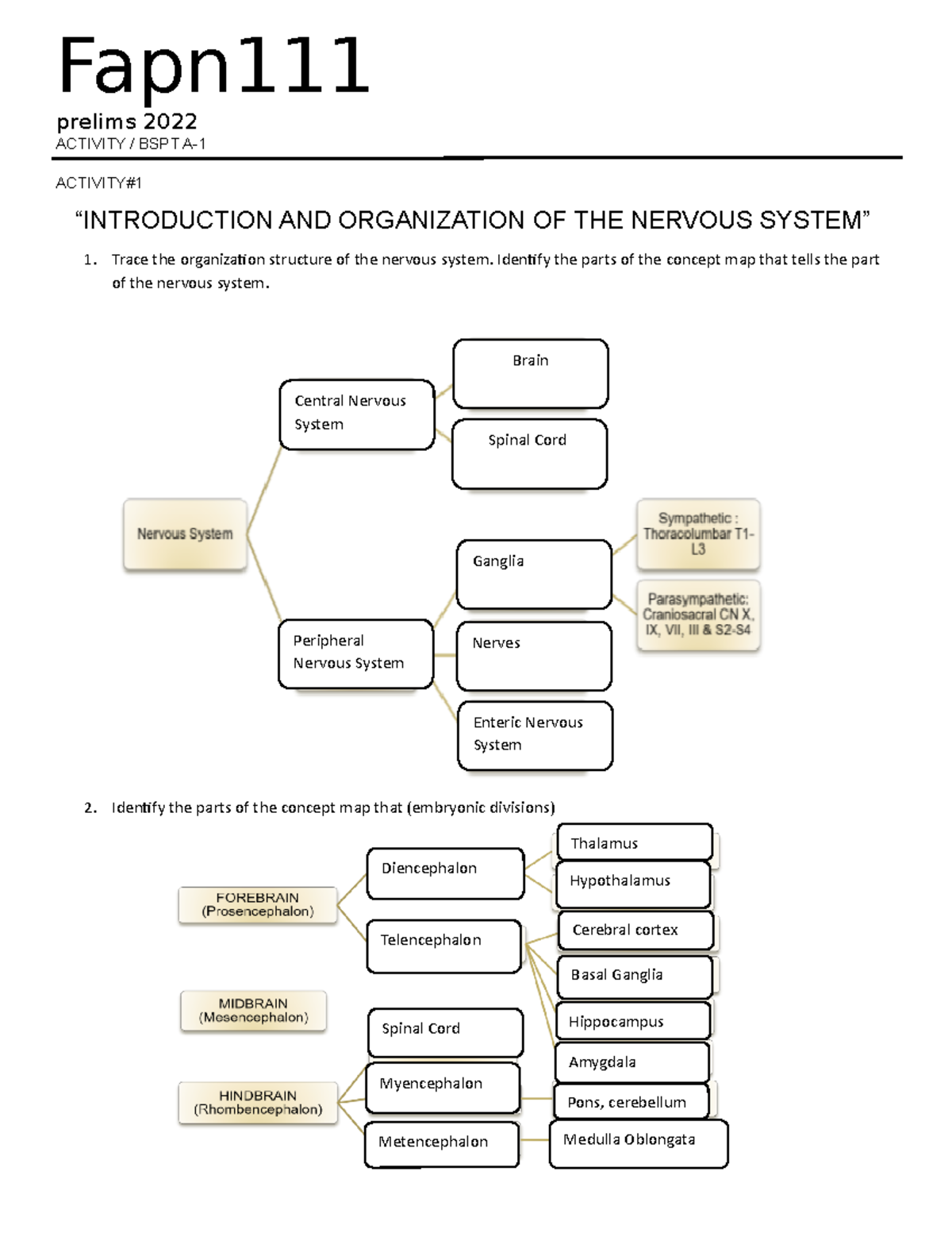 Introduction and Organization of the Nervous System - prelims 2022 ...