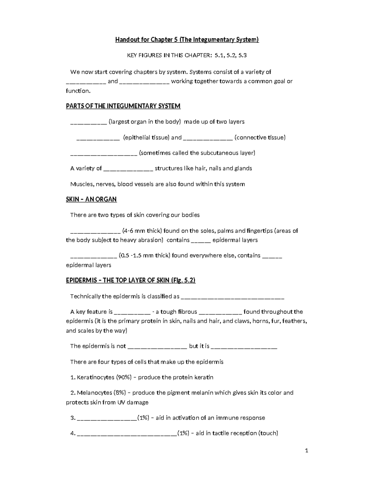 Chapter 5 Handout S19 - Practice materials and study doc for tests ...