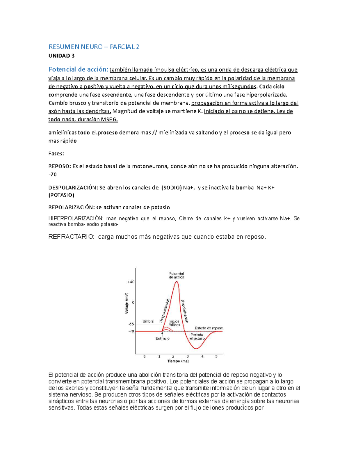 Resumen Neuro Parcial 2: Potencial de Acción y Sinapsis - Studocu