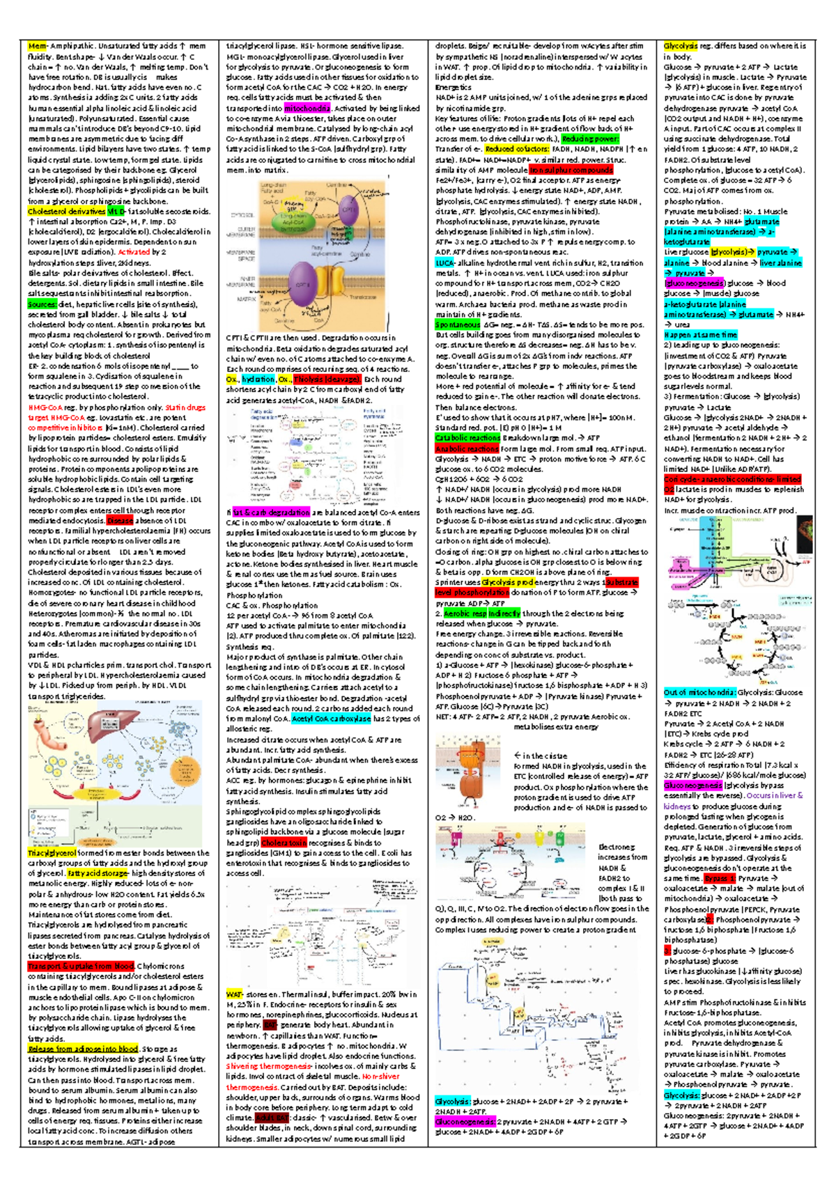 Biosci 106 cheatsheet - Mem- Amphipathic. Unsaturated fatty acids ↑ mem ...