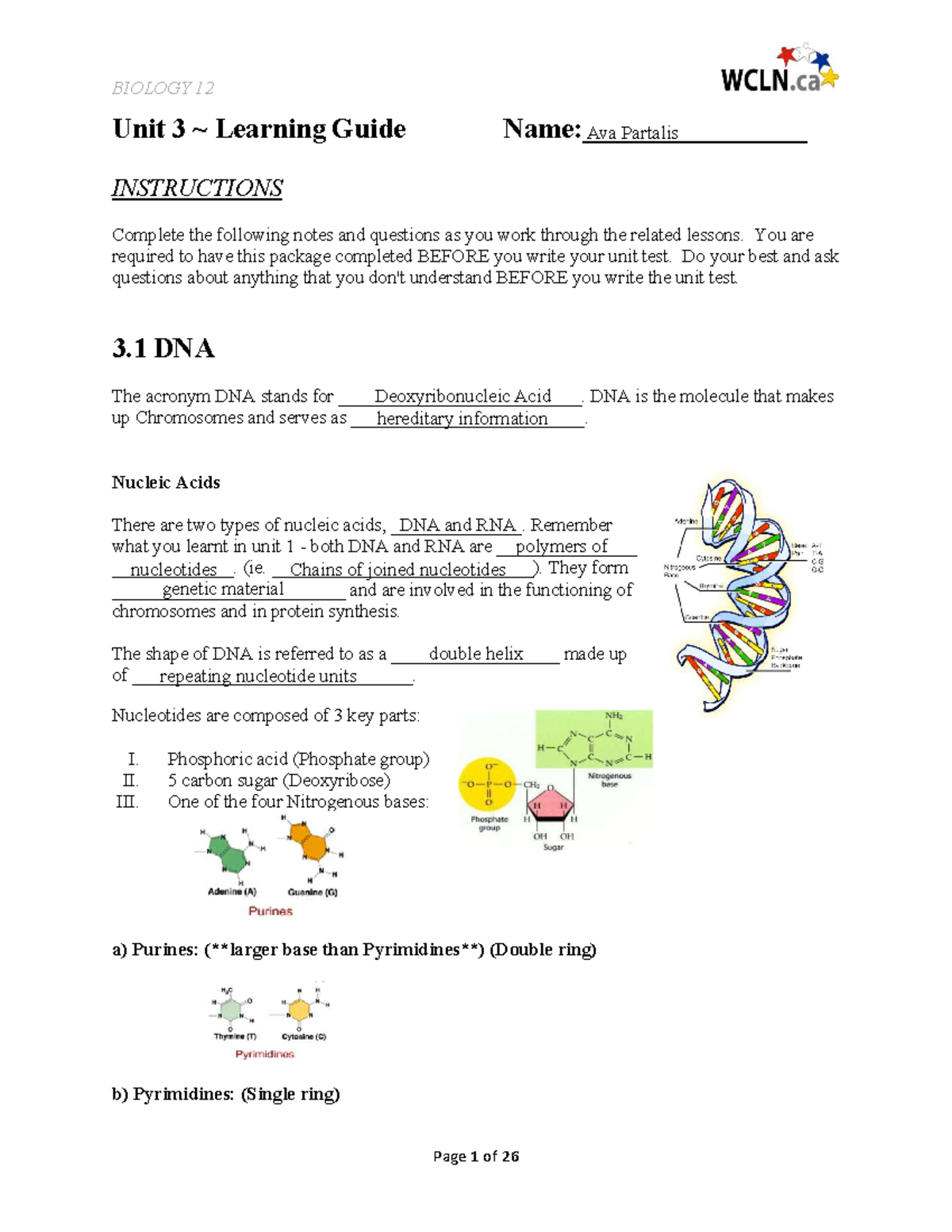 Anatomy & Physiology Unit 3 Learning Guide: DNA, RNA, & Protein ...