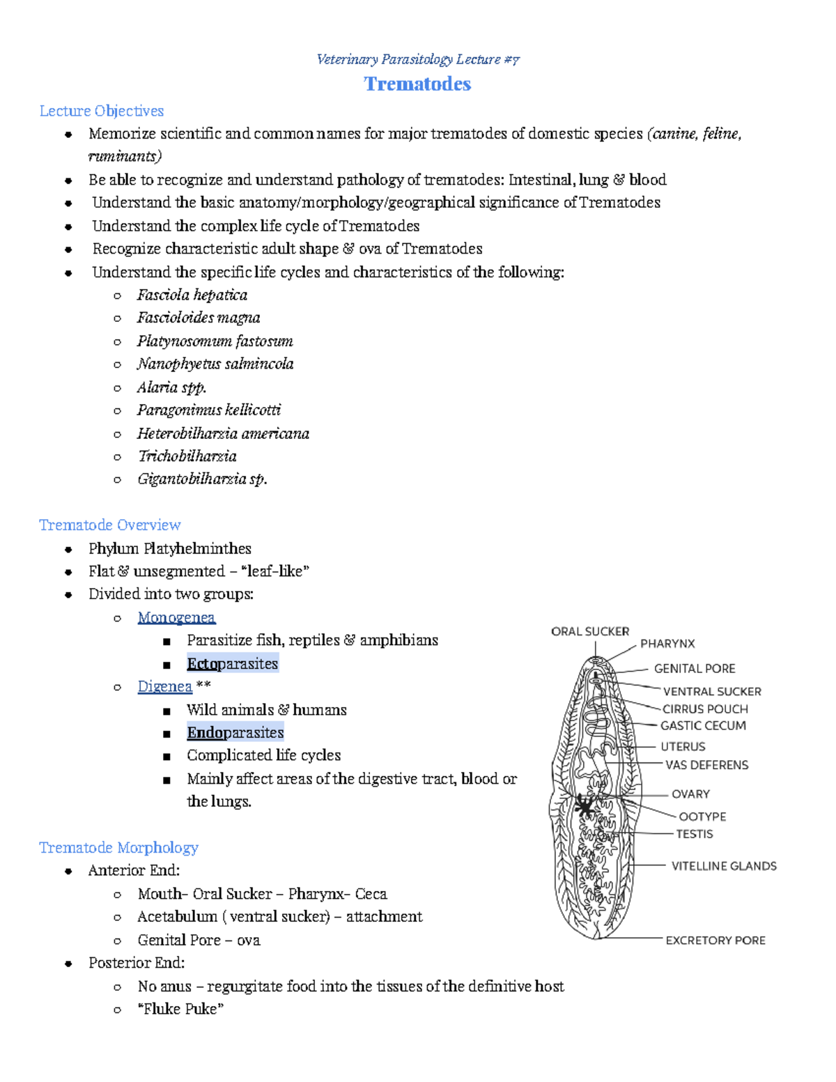 Lecture #7: Comprehensive Overview of Trematodes in Veterinary Medicine ...