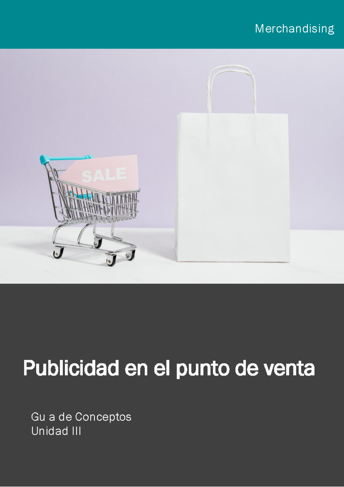 Guía de Conceptos de Merchandising y Publicidad en el Punto de Venta ...