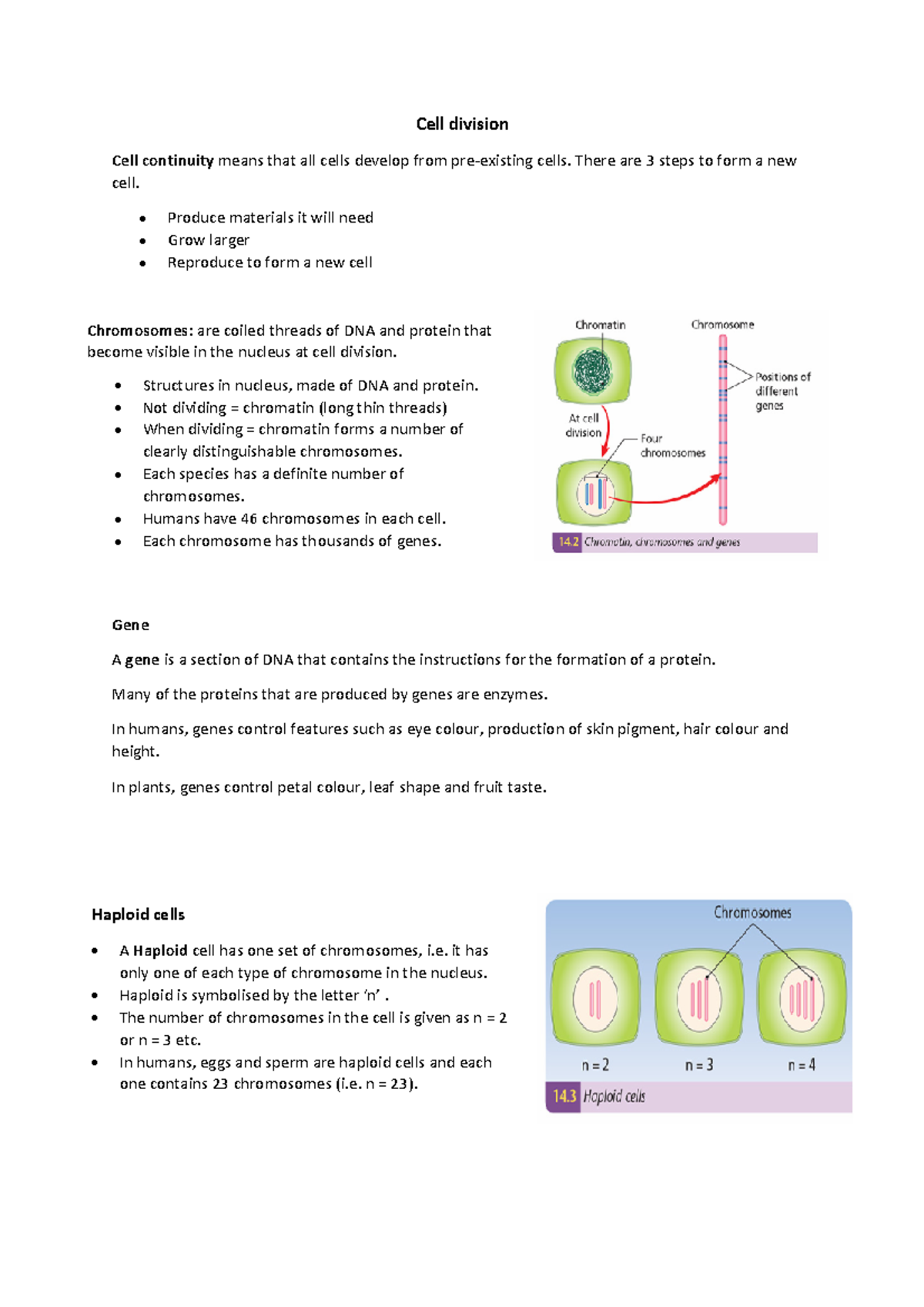 Cell division - Ms Corcoran’s old notes - Cell division Cell continuity ...