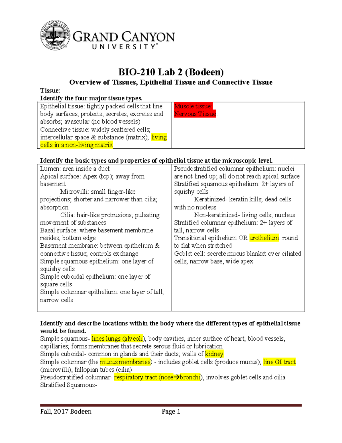 BIO-210L Lab 2: Overview of Epithelial & Connective Tissues - Studocu